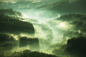 modern-3-piece-aluminium-print-over-the-woods