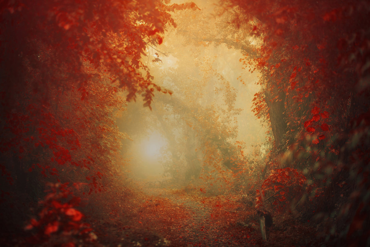 acrylic-print-personal-journey