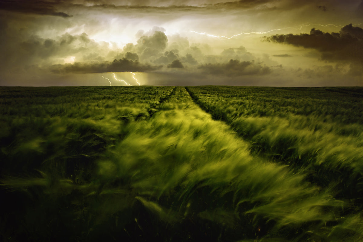 framedcanvas-print-journey-to-the-fierce-storm