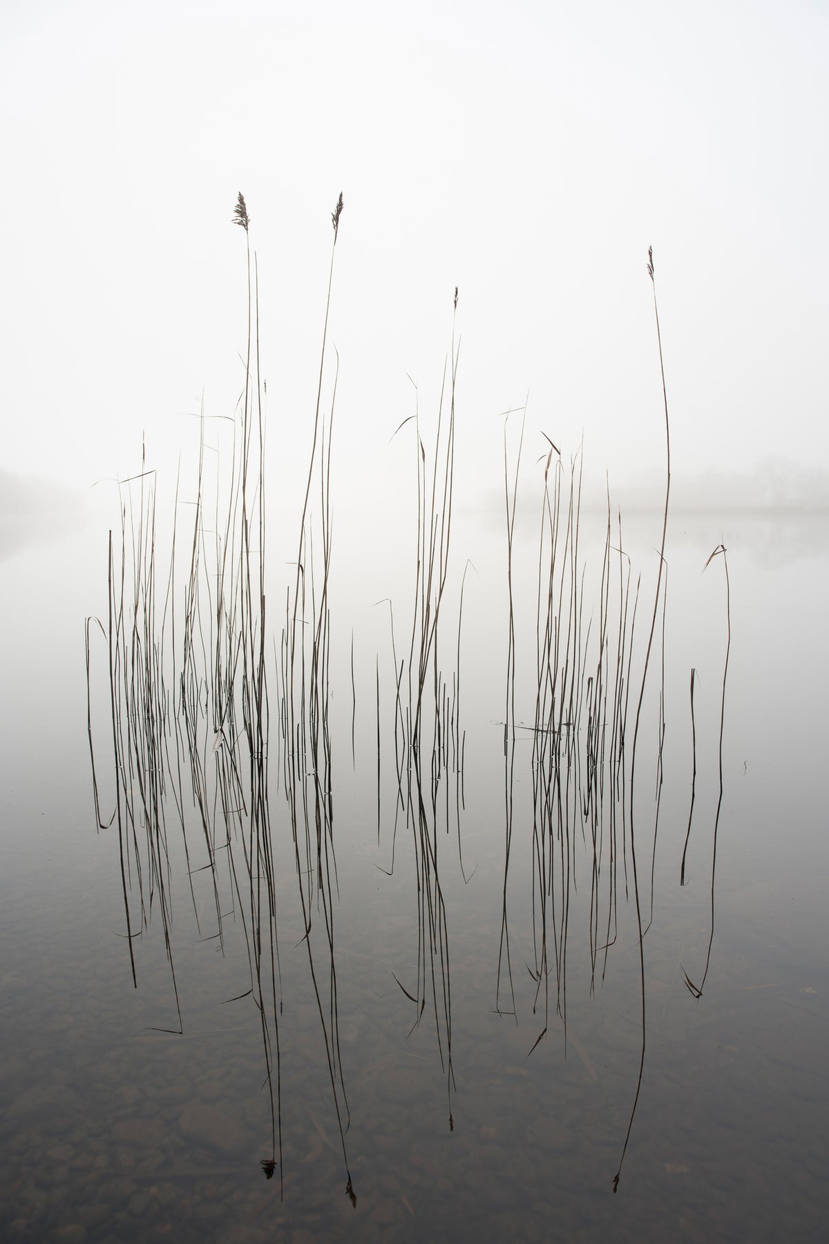 aluminium-print-silence
