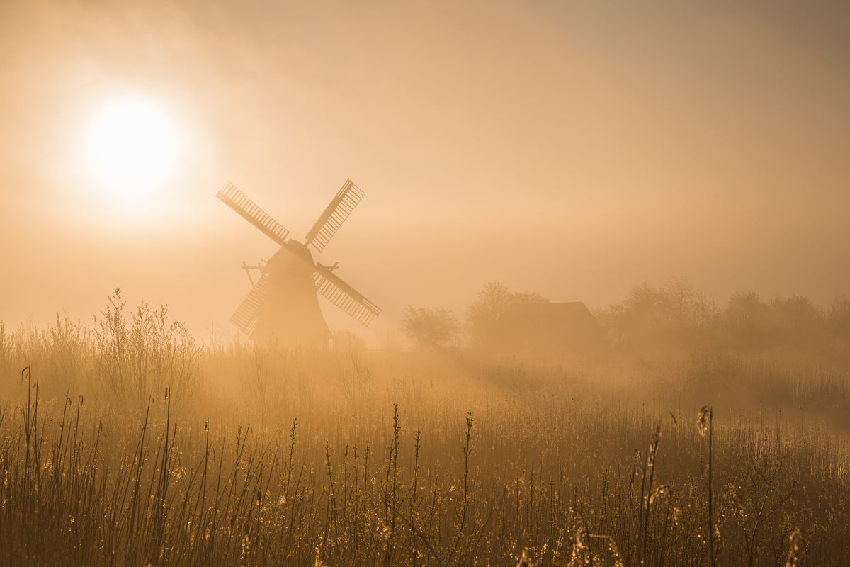 acrylic-print-golden-dawn-x