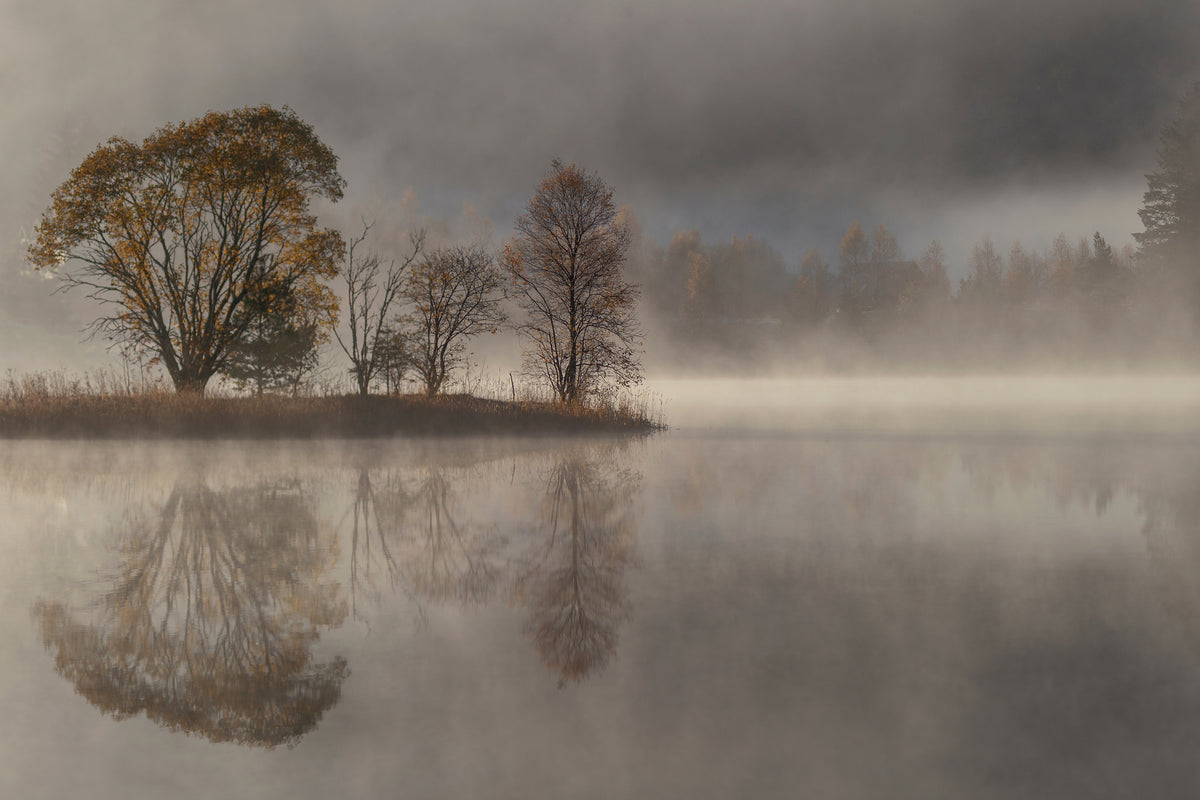 acrylic-print-october-morning