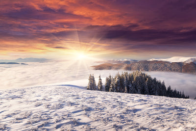 poster-print-sunrise-winter-landscape