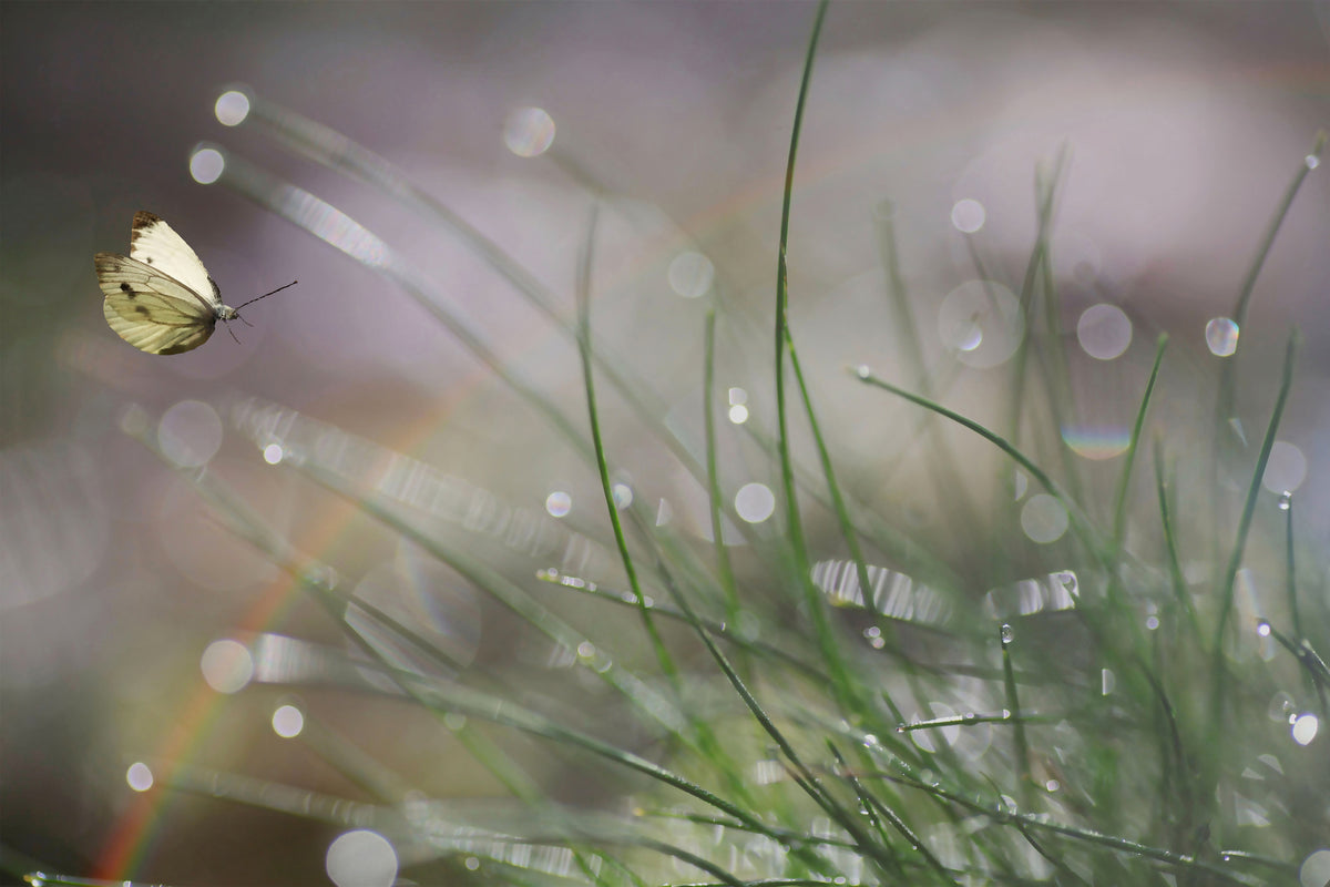 framedposter-print-imminent-landing