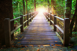 modern-3-piece-canvas-print-the-bridge-in-the-forest