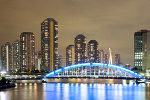 framedposter-print-skyline-tokyo-at-night