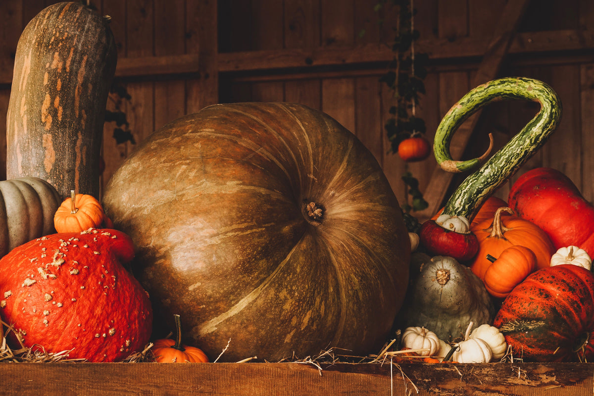 modern-3-piece-acrylic-print-a-still-life