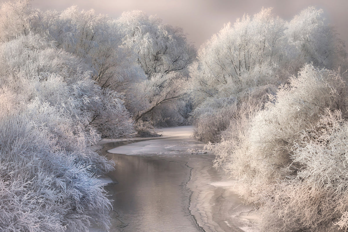 poster-print-winter-song-x