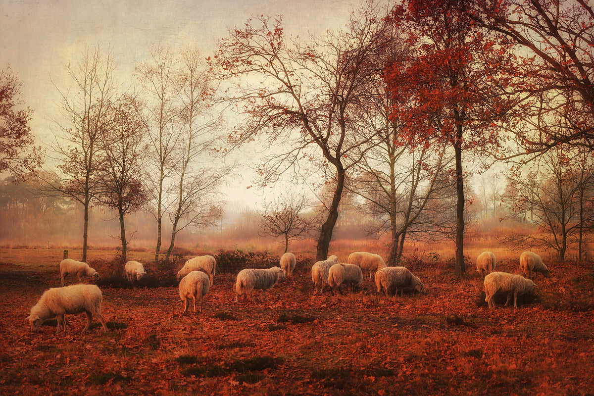 modern-3-piece-acrylic-print-last-days-of-autumn