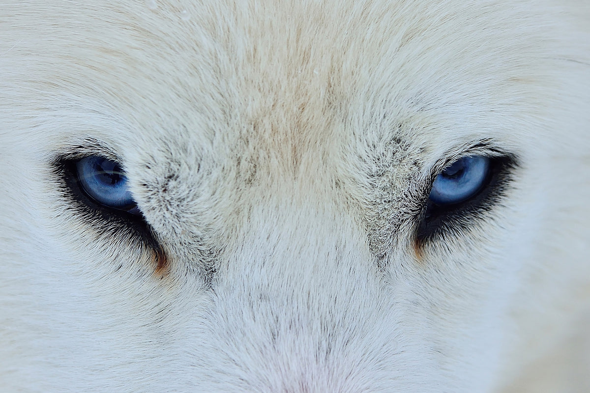 aluminium-print-mirada-azul-x