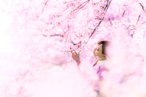 acrylic-print-sakura