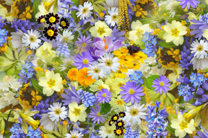 acrylic-print-fresh-spring-flowers