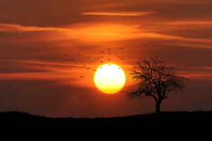 canvas-print-the-sunset-on-the-horizon