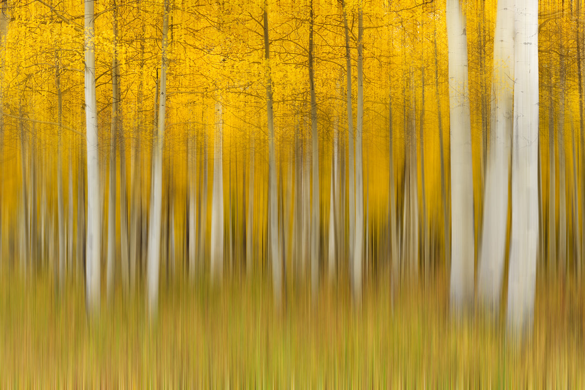 framedcanvas-print-autumn-dream-ii
