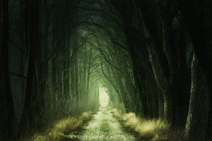3-piece-aluminium-print-mysterious-forest-iii