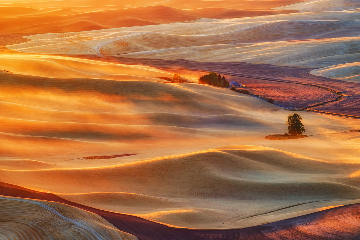 aluminium-print-golden-palouse-x