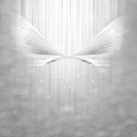 4-piece-aluminium-print-angel-wings