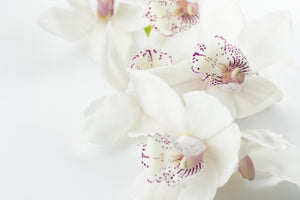 3-piece-canvas-print-fantastic-orchids