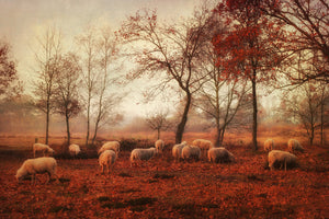 framedcanvas-print-last-days-of-autumn
