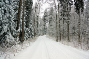 3-piece-acrylic-print-snow-in-the-forest