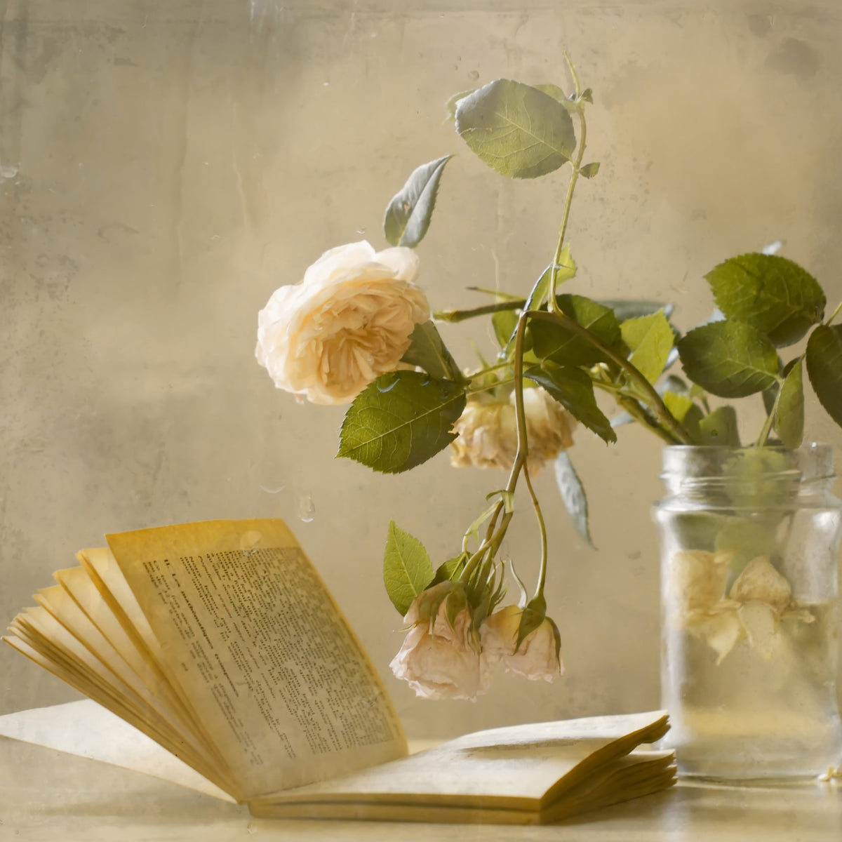 acrylic-print-enjoying-a-rainy-day-x