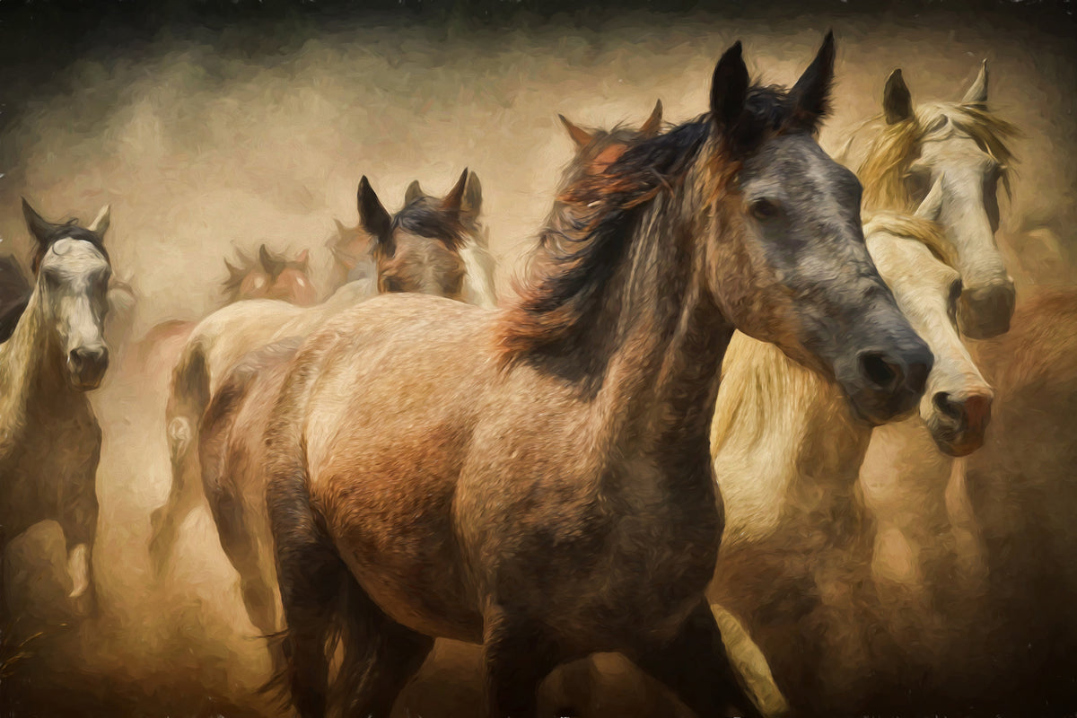 framedcanvas-print-painting-wild-horses