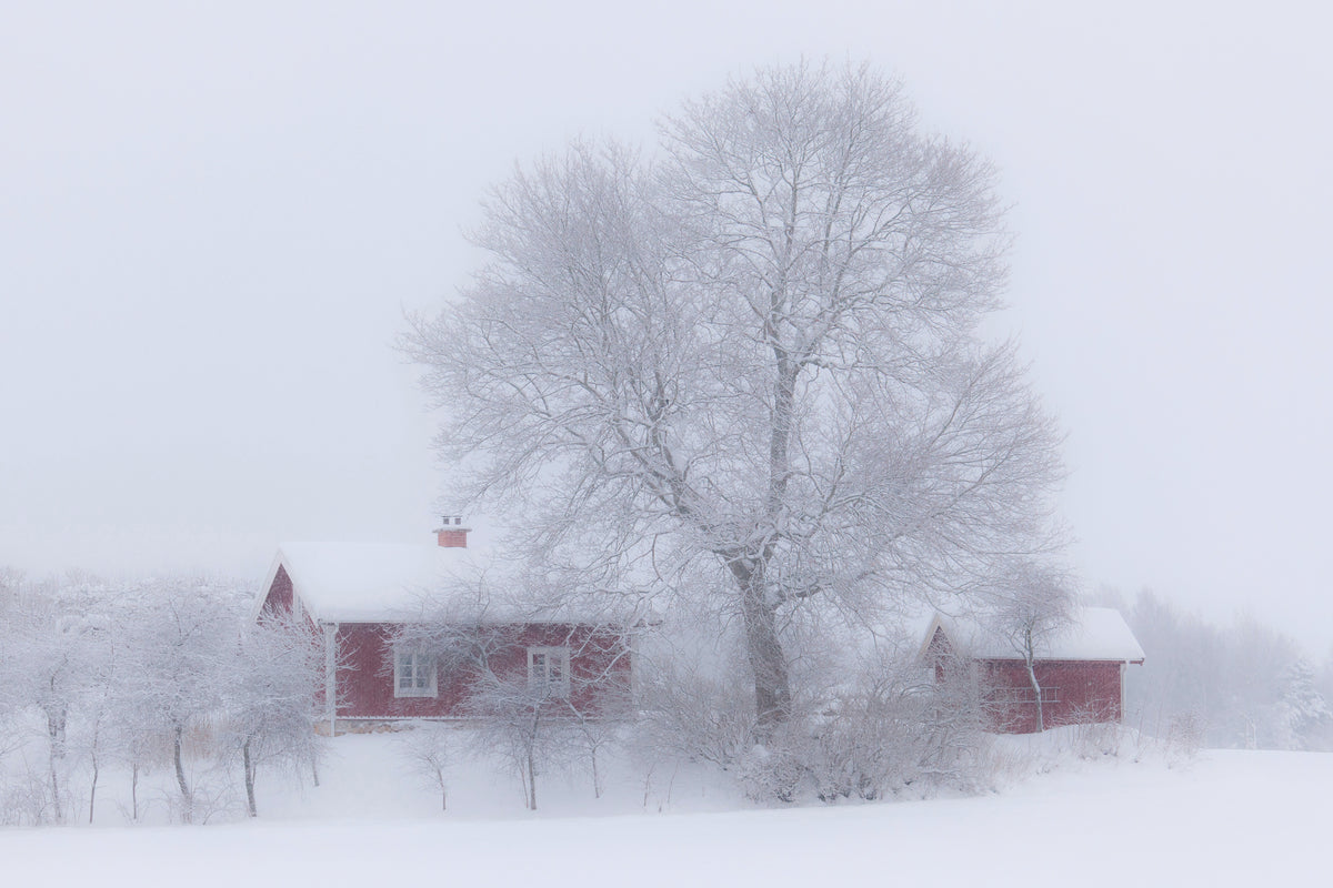 acrylic-print-winter-idyll-x