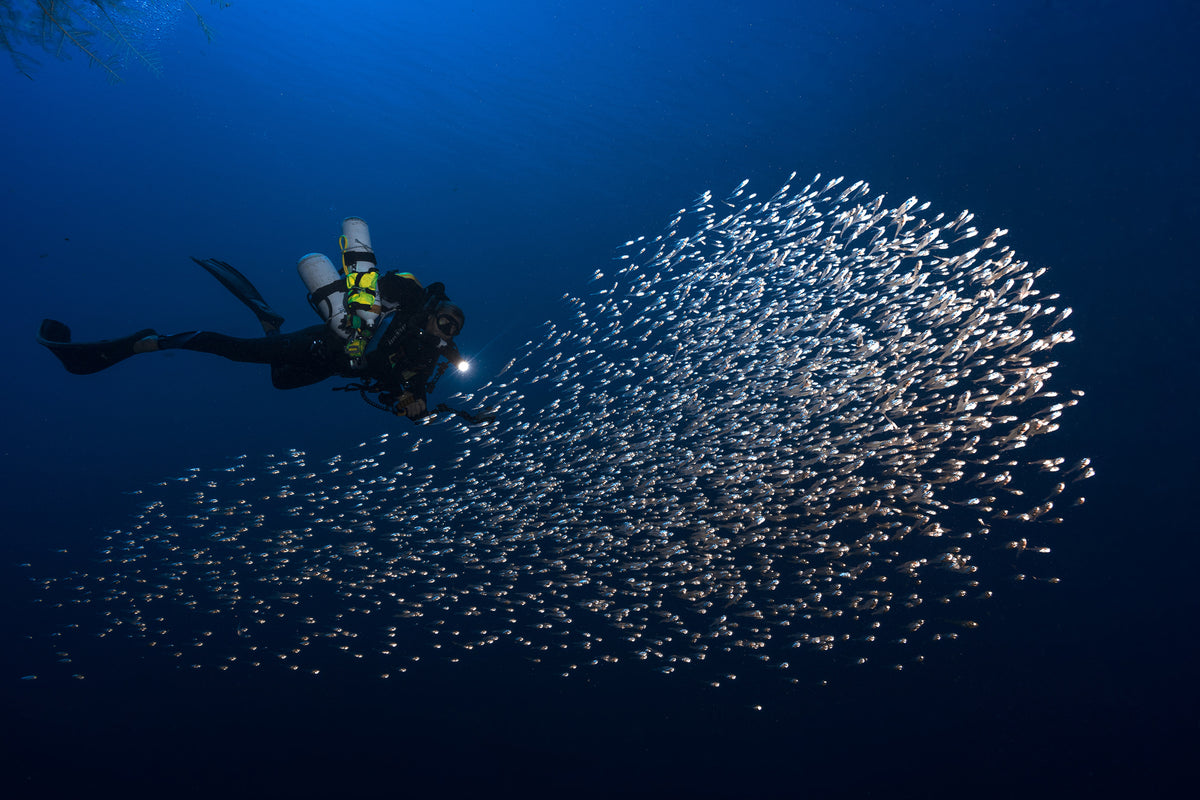 framedposter-print-alvin-shoal