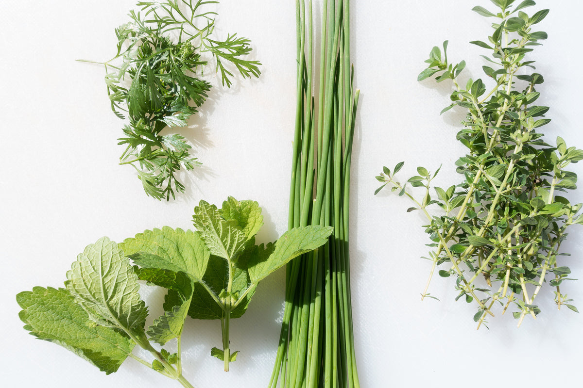 3-piece-aluminium-print-fresh-herbs