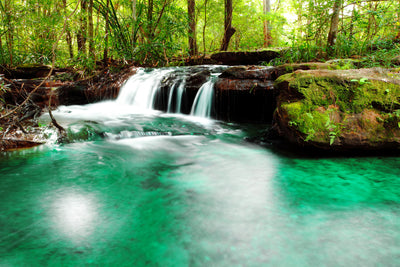 poster-print-the-river-at-waterfall