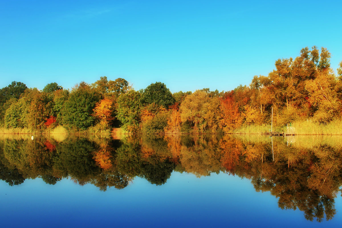 framedposter-print-autumn-reflections