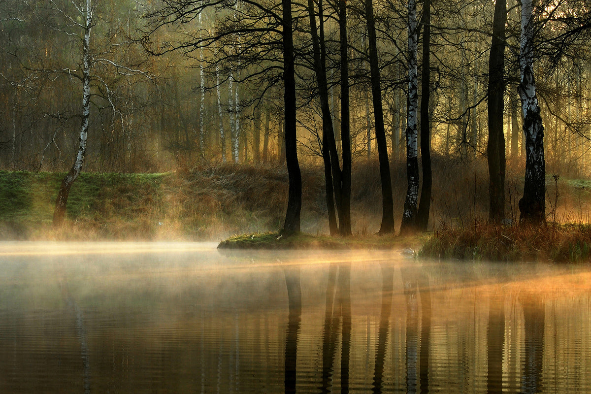 aluminium-print-silent-light-x