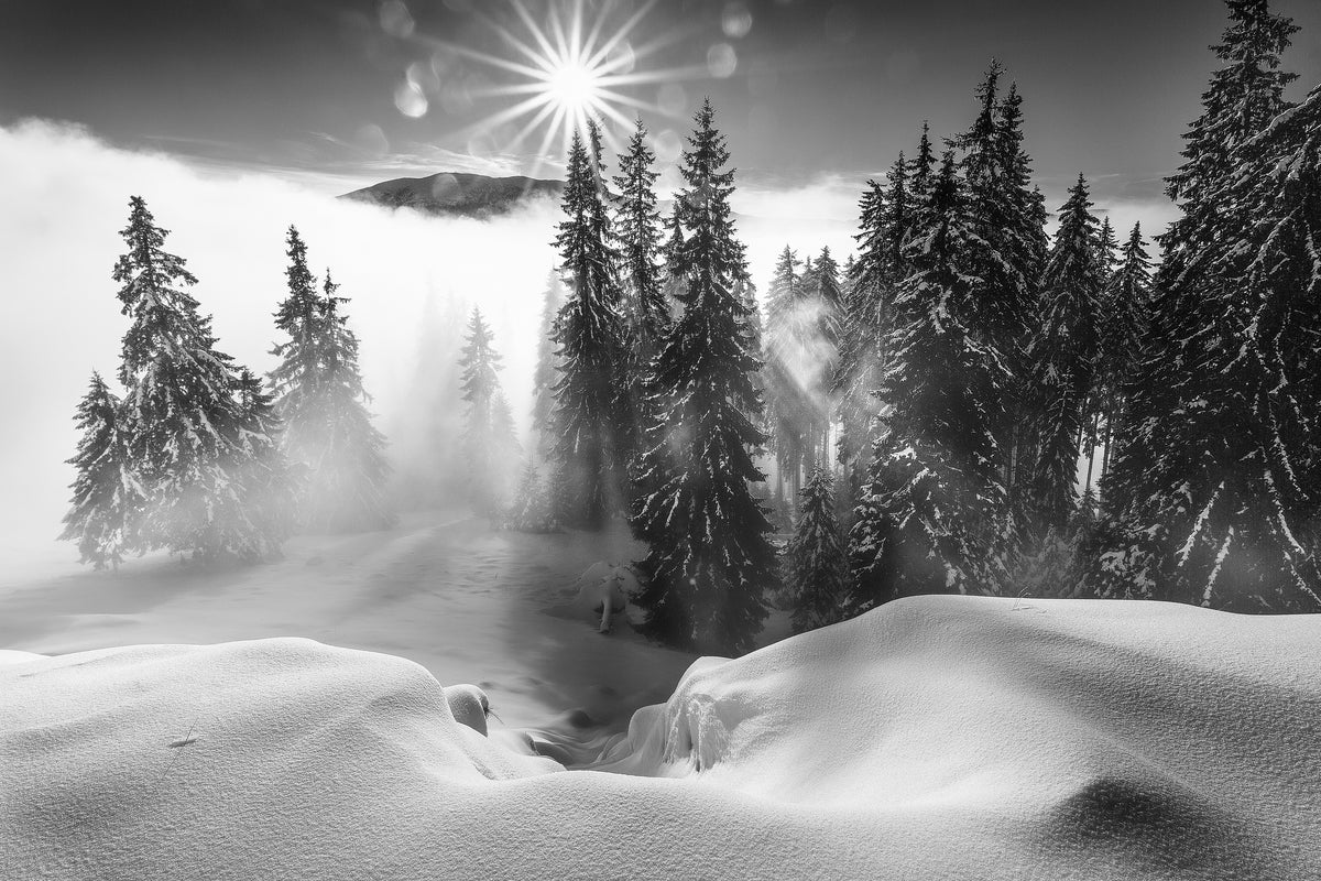 framedcanvas-print-a-winter-tale