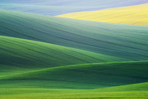 acrylic-print-lines