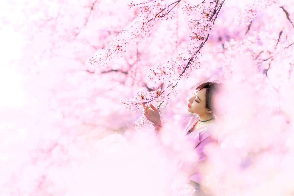 aluminium-print-sakura
