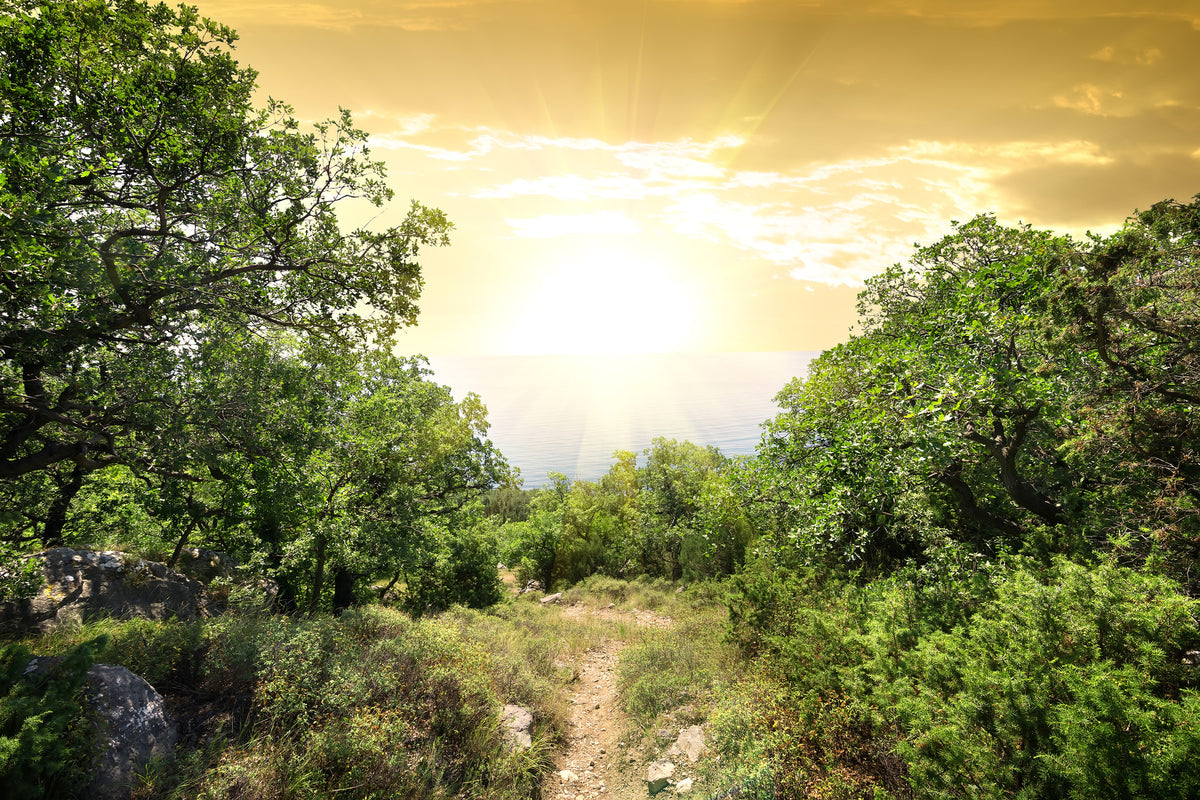 3-piece-aluminium-print-at-the-end-of-the-forest
