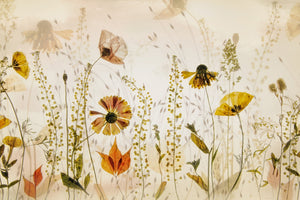 poster-print-in-the-field-x