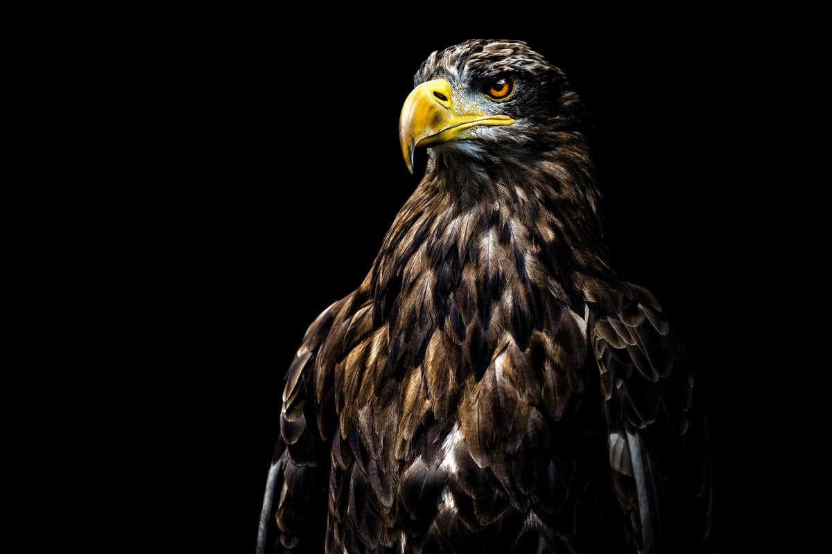 canvas-print-ego