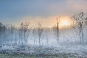 canvas-print-a-touch-of-winter