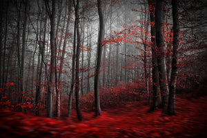 aluminium-print-bloody-river-x