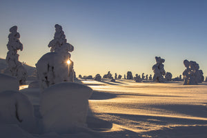 3-piece-canvas-print-in-lapland