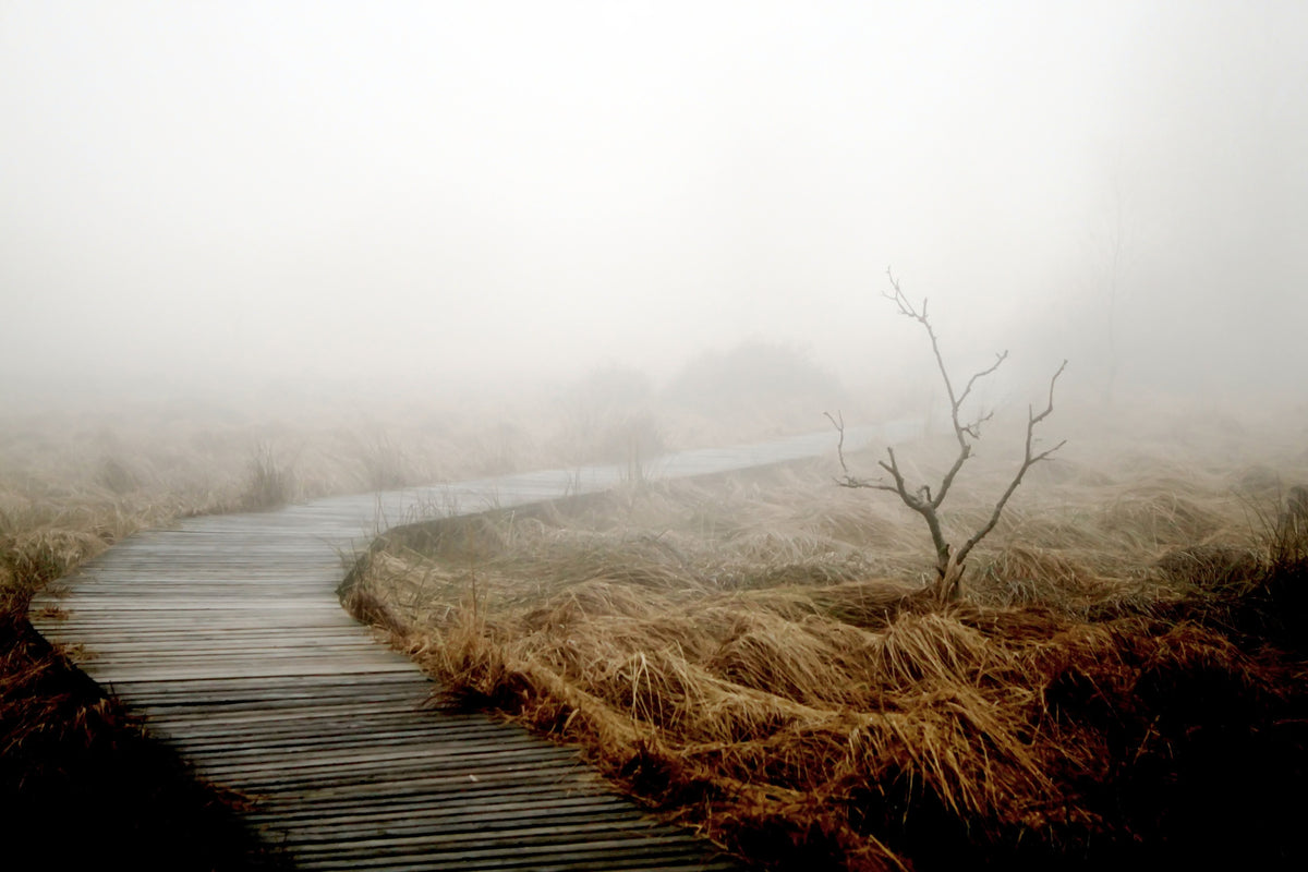 framedposter-print-dense-fog
