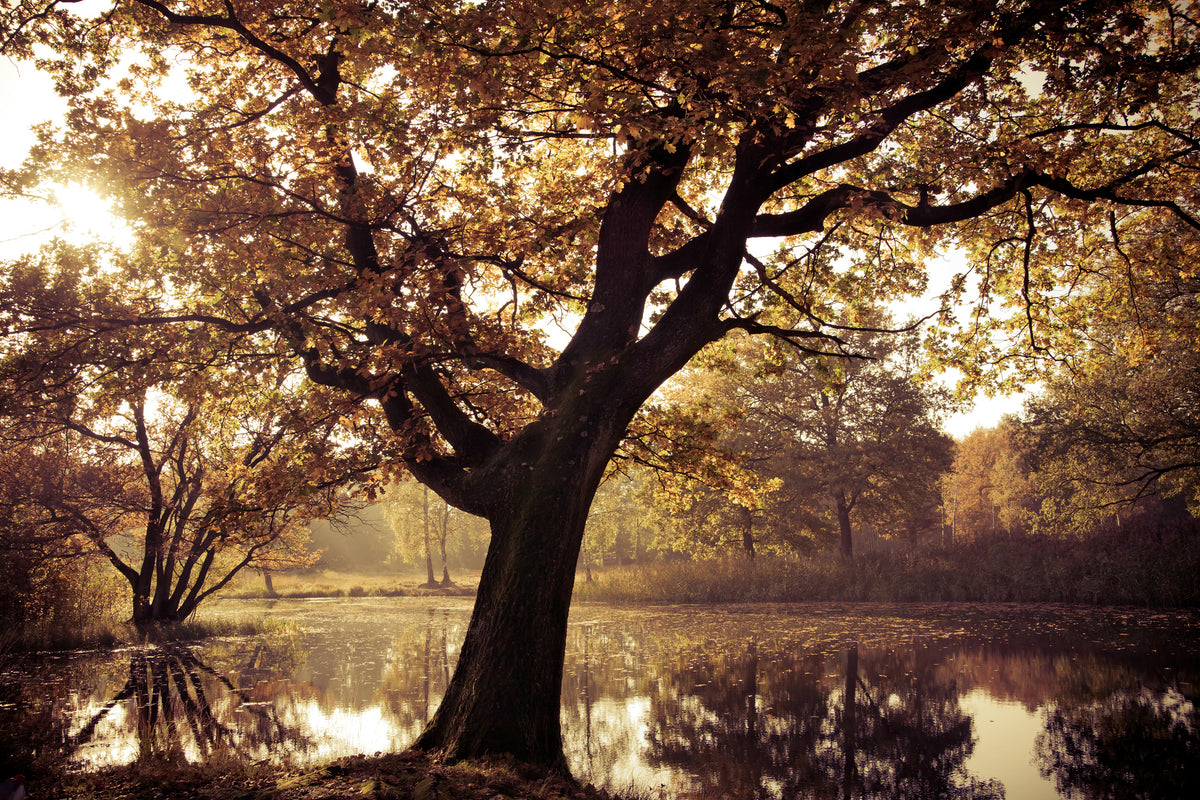 modern-3-piece-canvas-print-landscape-park