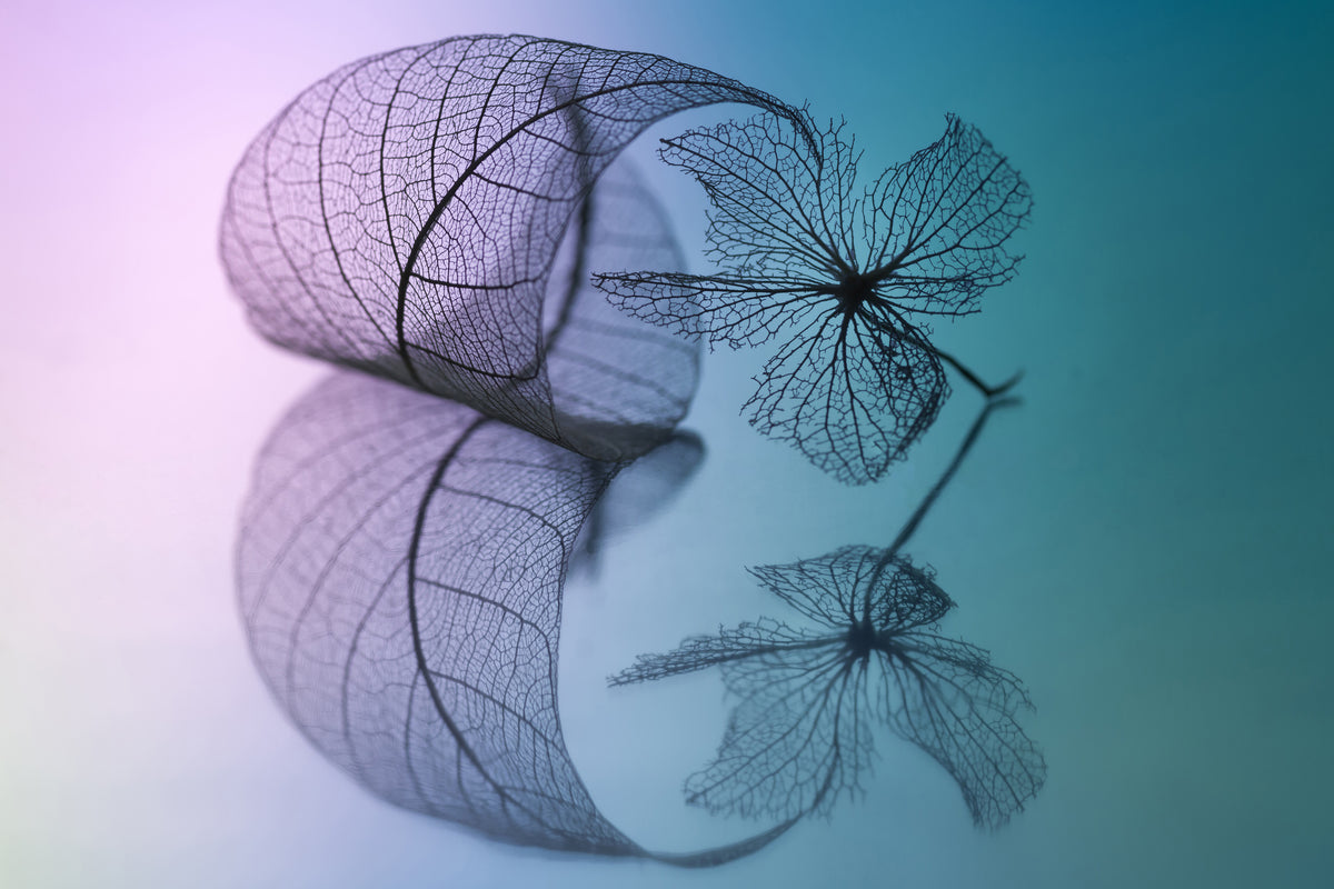 modern-3-piece-aluminium-print-story-of-leaf-and-flower