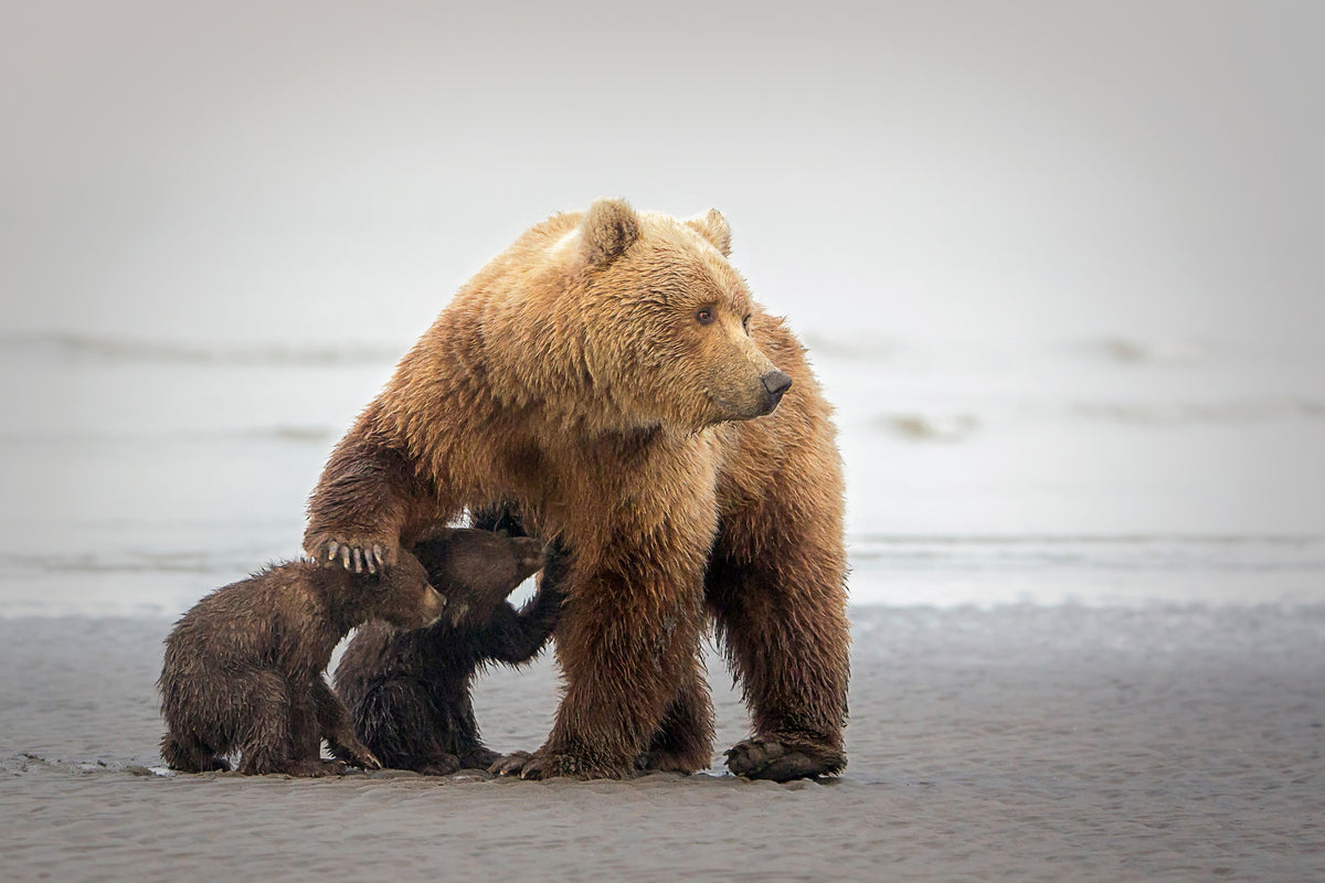 framedcanvas-print-family-time