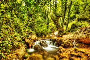 framedposter-print-waterfall-in-the-forest