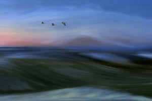 poster-print-migrants-x