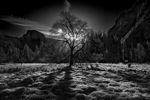 framedposter-print-the-winter-spirit
