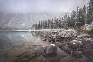 framedcanvas-print-winter
