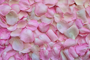 modern-3-piece-aluminium-print-rose-petals-in-pink-ii